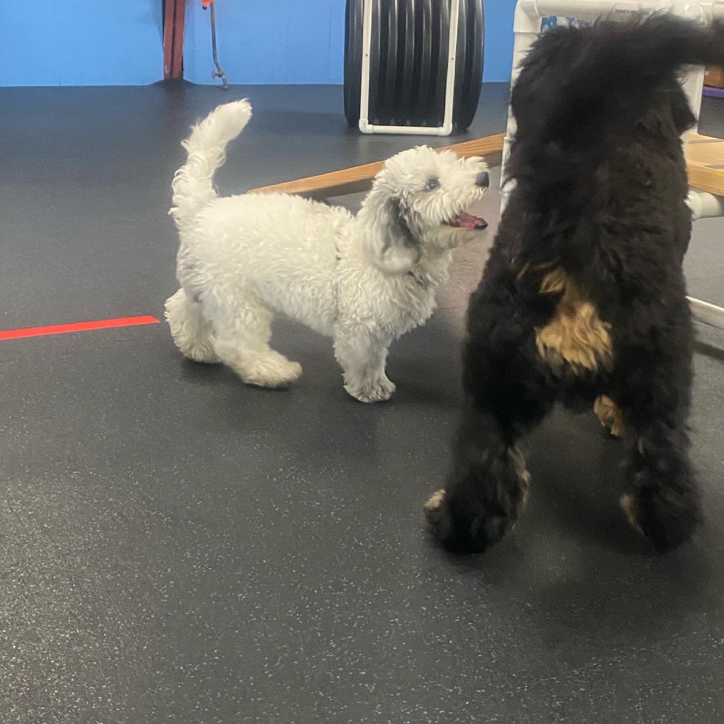 5A6FF155-7ACE-4682-BE12-E747C4D2B5C5