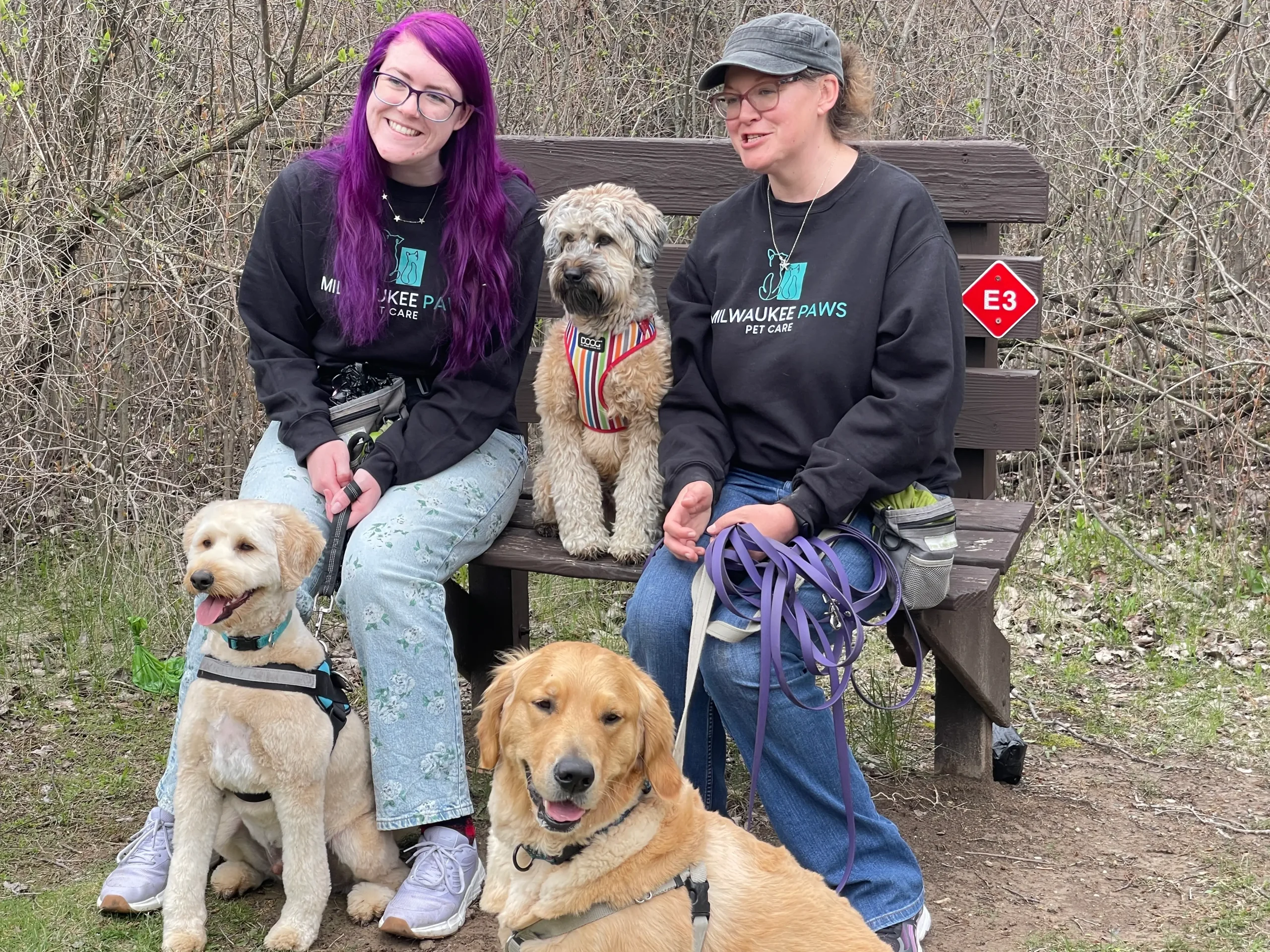 dog walking company team. Two dog walkers with multiple dogs