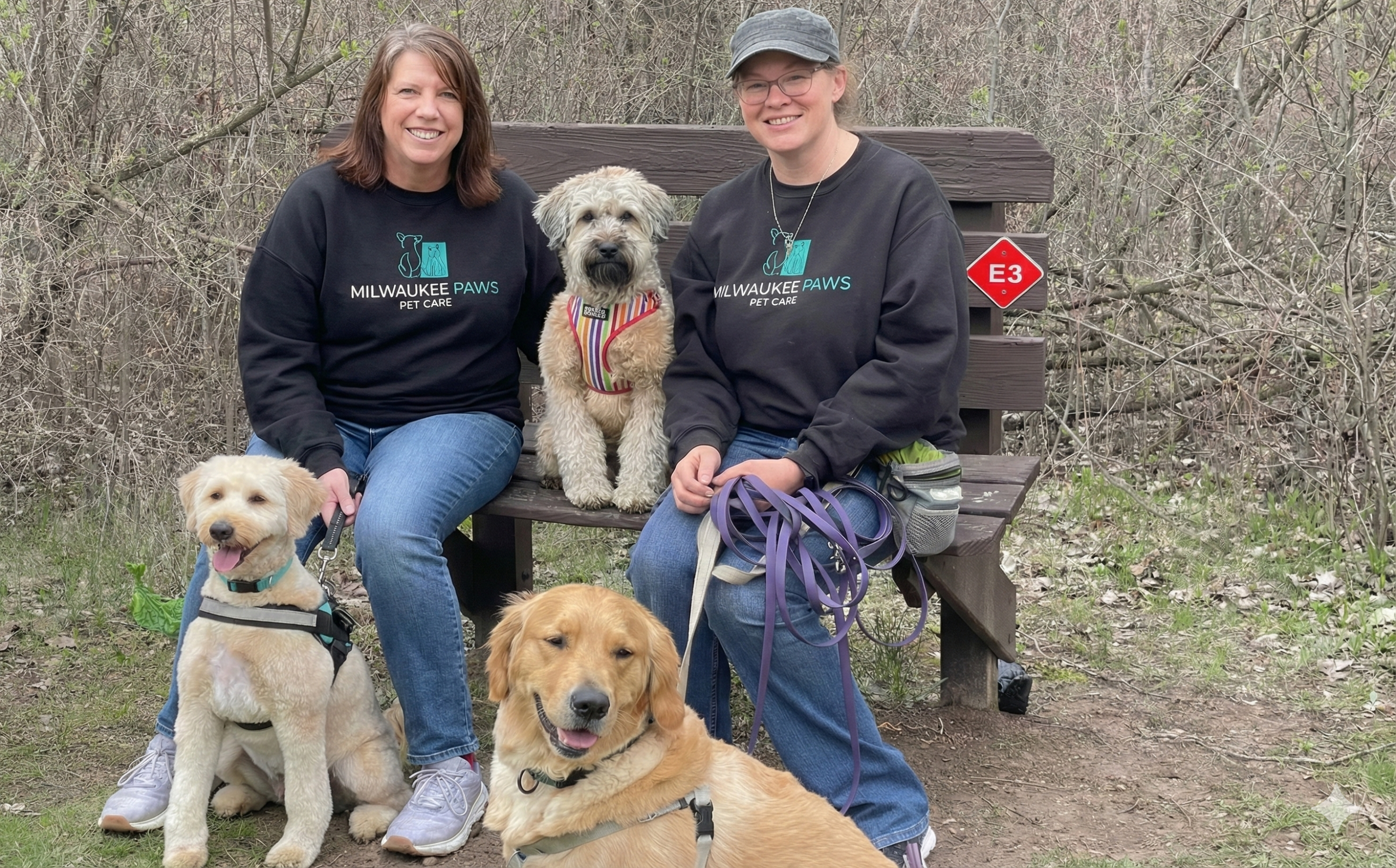 group urban adventure with multiple dogs and two dog walkers